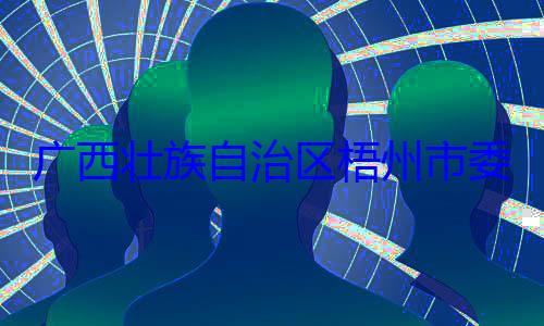被查广西壮族自委副书记治区梧州市市长李振品